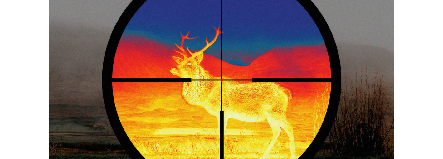 Can you hunt deer with a thermal scope?