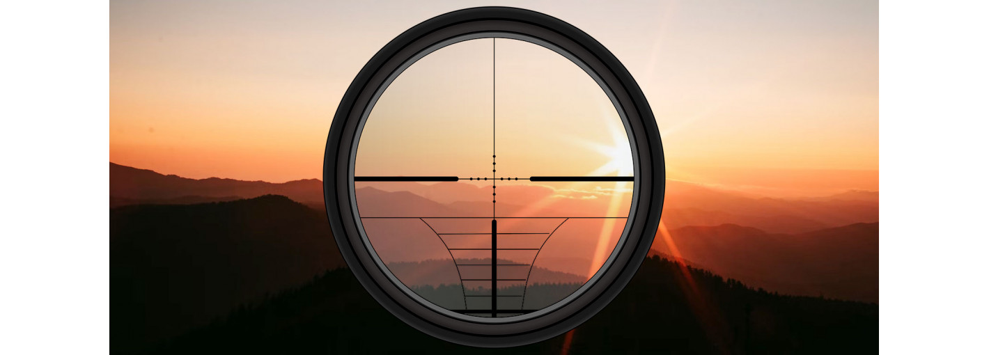 How to Choose a Reticle